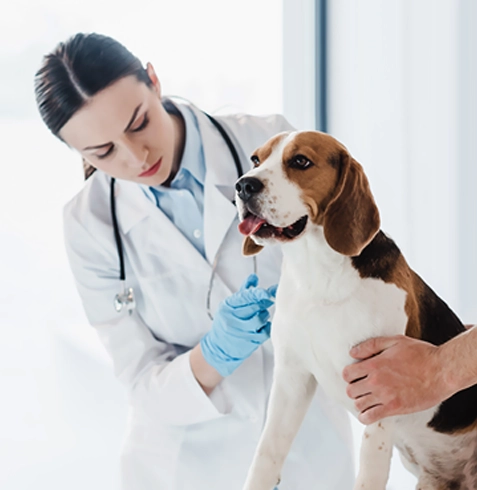 Altındağ Veteriner