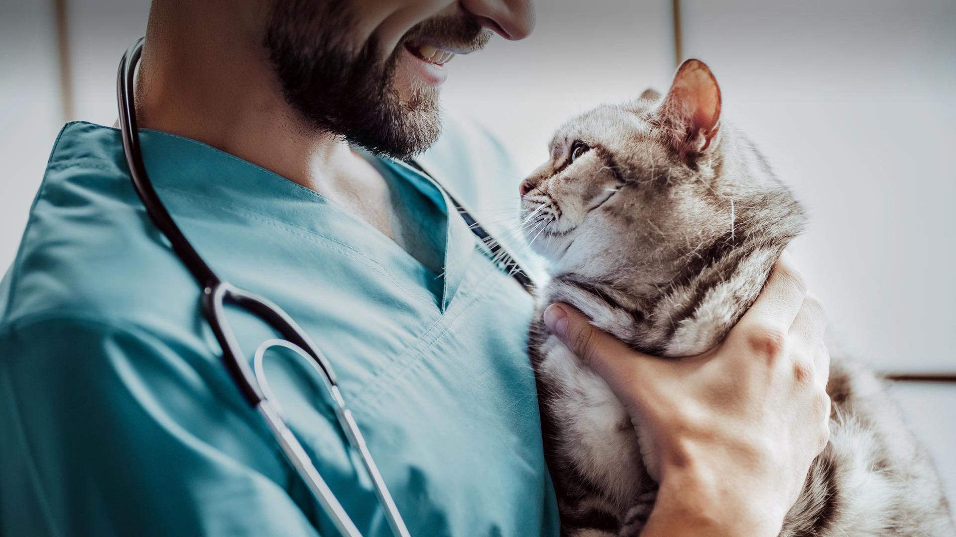 Altındağ Veteriner